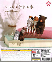 Load image into Gallery viewer, Lay Together Nap Time Animal Figures 40-Piece Set