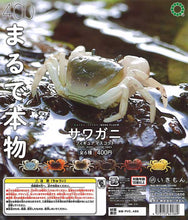 Load image into Gallery viewer, (Resale) NTC MONO + Japanese Freshwater Crab Figures 30-Piece Set