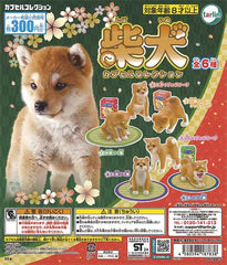 Shiba Inu Capsule Collection Shiba Inu Figures 40-Piece Set