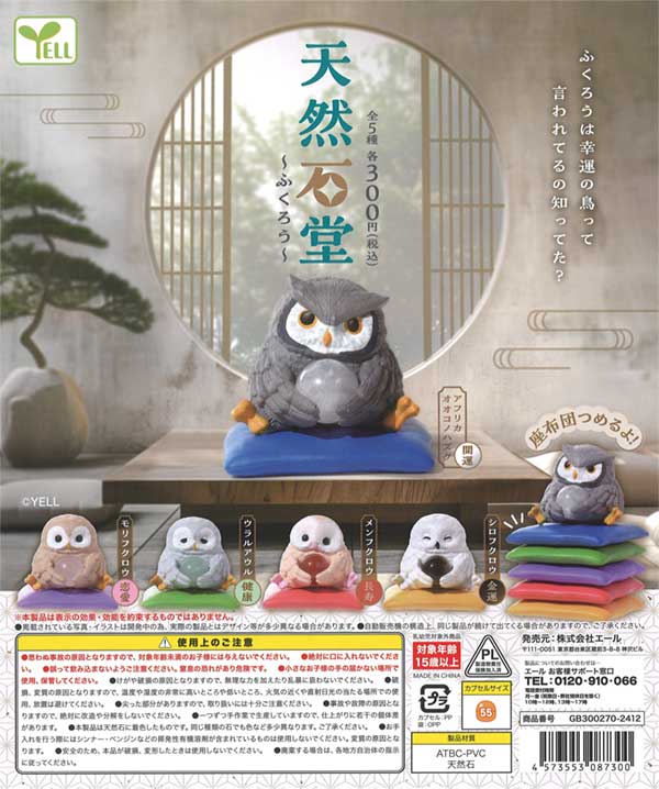 Figure mascot of owls holding a crystal ball 40-Piece set