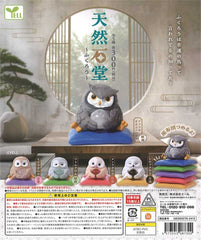 Figure mascot of owls holding a crystal ball 40-Piece set