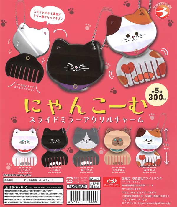 Nyanko-mu Slide MirrorAcrylicCharm- 40-Piece Set