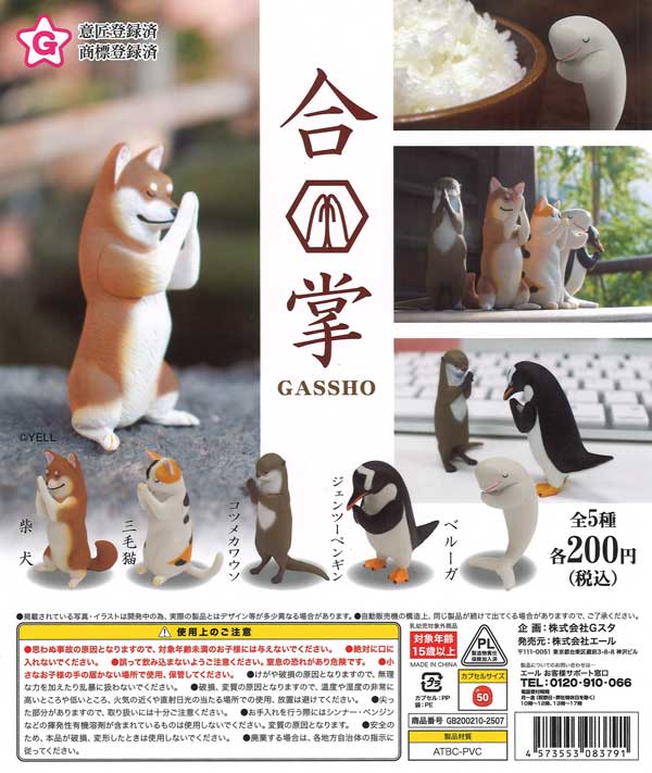 (Resale)GASSHO 50-Piece Set