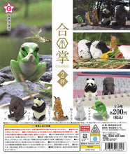 Load image into Gallery viewer, (Resale)GASSHO 2HAI 50-Piece Set