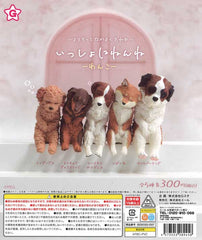 Isshoni Nenne Wanko 40-Piece Set
