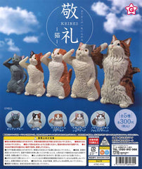 Keirei Cat  40-Piece Set