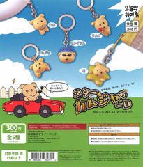 Star Kamujano One day KamujaMezirushi Accessory 40-Piece Set