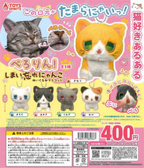 PERORIN！Shimaiwasure Nyanko Nuigurumi Mascot 30-Piece Set