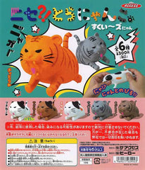 Nise ToraNyanko Sukui～zu Nyan- 40-Piece Set